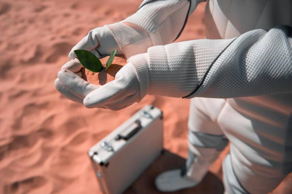ปลูกพืชบนดาวอังคาร